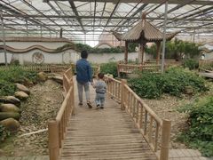 -上海都市菜园