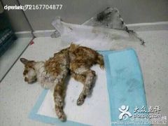 盛京一禾-盛京一禾