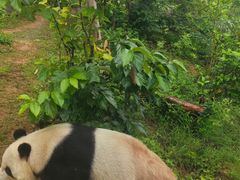 -泉州海丝野生动物世界