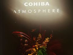 -Cohiba Atmosphere高希霸魅力俱乐部(国贸店)