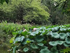 -成都杜甫草堂博物馆