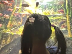 -太平洋海底世界