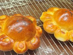 -乡田小墅(展览馆路JK FUN商城店)