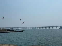 -星海湾跨海大桥