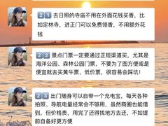 -日照海滨国家森林公园