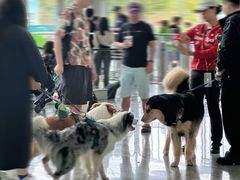 -上海跨国采购会展中心