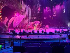 -广州长隆国际大马戏