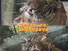 -海南热带野生动植物园