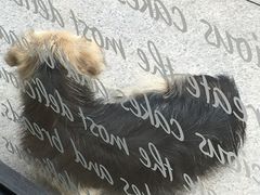 -味多美蛋糕(看丹桥店)