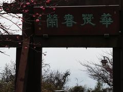 -杭州半山国家森林公园