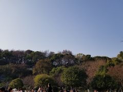 -食膳公园包子铺(烈士公园店)