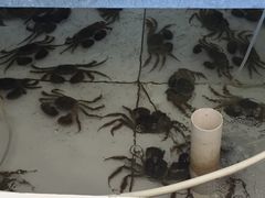 -丫丫蟹庄·苏式园林农家乐·阳澄湖大闸蟹(阳澄湖莲花岛店)