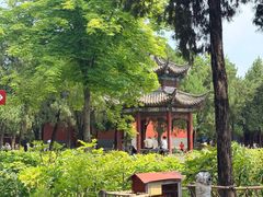 -洛阳白马寺