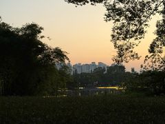 -江心屿景区