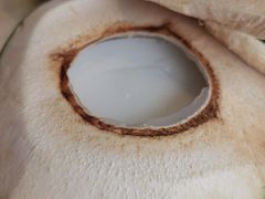 -墨脱石锅椰子鸡•香草鸭•东山羊(大东海店)