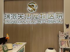 -瑞派·关忠动物医院·猫专科·犬专科(三环新城店)