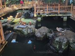 -南宫五洲植物乐园