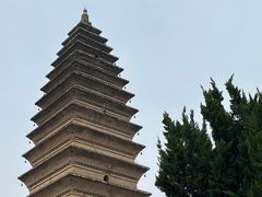 -宝塔苑-宝轮寺塔