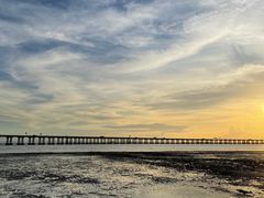 -宝安西湾红树林湿地公园