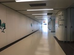 -南方医科大学深圳医院