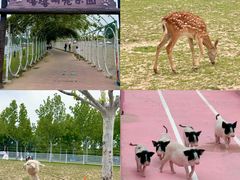 -渔岛海洋度假区