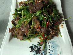 香菜拌牛肉-祥老弟老信丰萝卜饺旗舰店(建设路二分店)