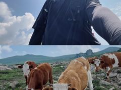 -灵山