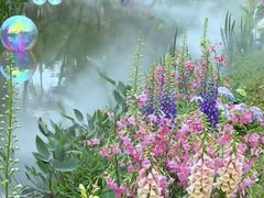 -人民公园(罗湖区)