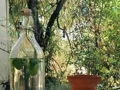 -春树下·树屋花房西餐厅(罍街AS1980店)