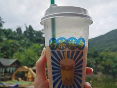 -西双版纳原始森林公园