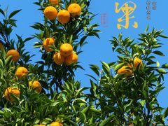 -狼山风景名胜区