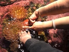 -西雅图水族馆