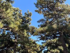 -北京西山国家森林公园