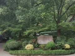 -杭州半山国家森林公园