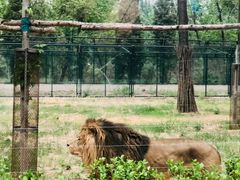 -秦皇岛野生动物园