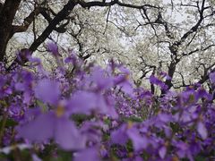 -江苏三台山国家森林公园