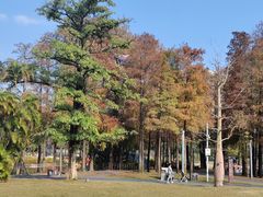 -四海公园(南山区)