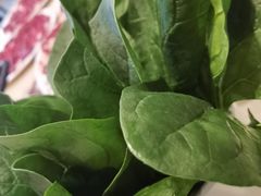 -八合里潮汕鲜牛肉火锅(吉大店)