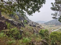 -玉石林风景区