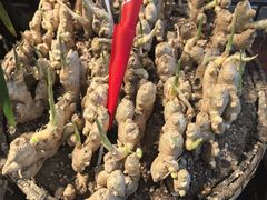 -怀化名堂(正清路店)