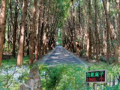 -同里国家湿地公园