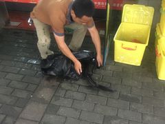 -全乐鱼馆·淳牌有机鱼直营店