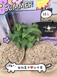 点击看大图 -SILKTONE诗丽堂美容