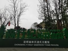 -东平国家森林公园