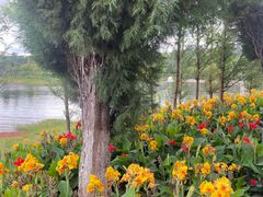 -安宁市宁湖森林公园