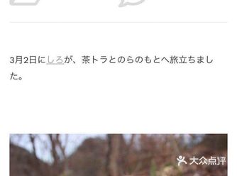 如今它不在了，但爱它的人一直都在！