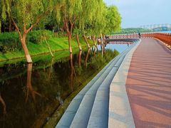-丁香湖公园