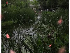 -白水寺森林公园
