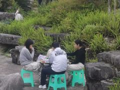 -铁山坪森林公园