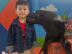 -成都浩海立方海洋公园